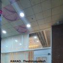 더샤이니아이래쉬