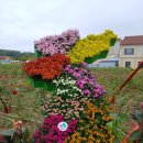 임실치즈테마파크 다녀왔습니다. 이미지