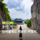 논산 반야사 절 동굴주소 애견동반 주차장 드라마 촬영장 후기