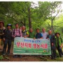상마농장 Daum카페