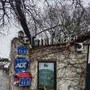 트윈트리 카페(민간개방화장실) | 남양주한강뷰카페 브런치 맛집 트윈트리