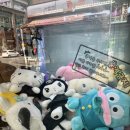 캐치미 뽑기방 이미지