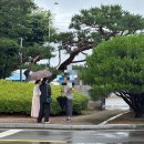 창원지방법원밀양지원 이미지