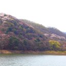 희원 이미지