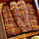 수성 | [대구장어덮밥] 금학장 대구수성점｜히츠마부시 &amp; 카이센동 후기