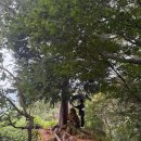 명곡동250 | 창원 의창구 태복산 등린이(종이인형) 등반 후기