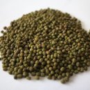 정가네농장 이미지