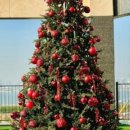 카페 인 코너 이미지