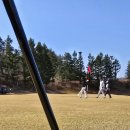 D GOLF LAB | 퍼터추천 요즘 핫한 L.A.B. Golf MEZZ.1 STOCK 퍼터로 이포CC 70타 달성 후기(김아림, 김효주 LPGA 우승...