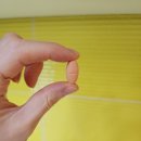 이튼약국 이미지