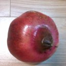 세신농장 이미지