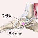 서울S한의원 이미지