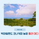 대디커피(Daddy coffee) 이미지