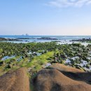 형제해안로 이미지