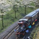 에코랜드 이미지