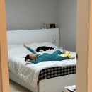라라라스토어 | 라라라 에그녹 래시가드 수영복 사이즈 후기 / 다섯 살 남아 내돈내산