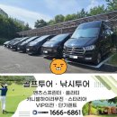 용인기흥 카니발리무진 의전렌트카