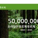 그린워시 이미지