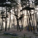 만길호좌대 이미지
