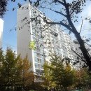 용구대로 2771번길 Daum카페