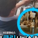 보보크린서비스