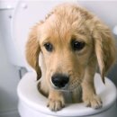 양산동물약국 이미지