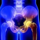 (주)바디채널 여의도 이미지