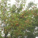 여난농장 이미지