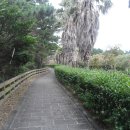 대포포구2 이미지