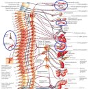 연세새롬의원 이미지