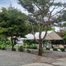 매봉힐링캠프 이미지