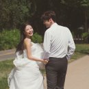 비니비치