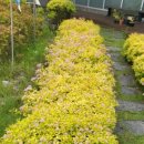 강당말공원 이미지