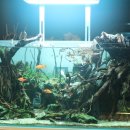 아쿠아가든카페 양재점 이미지