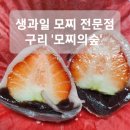 모찌의숲 이미지