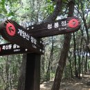 계영약국 이미지