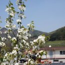 장정농장 이미지