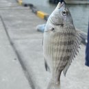 해담(장어무한리필) 이미지