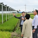 월평태양광발전소 이미지