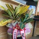 가산건축사사무소 - 정읍시 수성3로 4 | 가산건축사사무소