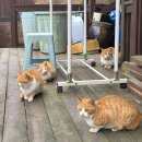 여울터 | 화성 펜션 단체 방문 후기! 여울터펜션 별채 내돈내산