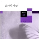 보라 Daum카페