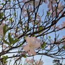 산음숲자연학교 이미지