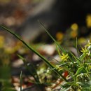 도계중학교 이미지