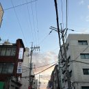전농닭강정 이미지