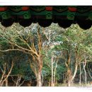 남도수퍼 이미지