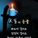 멸치부부의 안타가운 사랑, 이미지