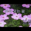 봄이오는길-박인희 엠알반주곡 노래부르기 이미지