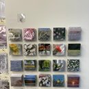 위드유 펫 스토어 | [내돈내산] 인천 부평구 부평역 인근 소품샵, 부평 가볼 만한 곳 추천 - 위드유 상점 솔직 후기