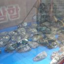 포차1번지 이미지